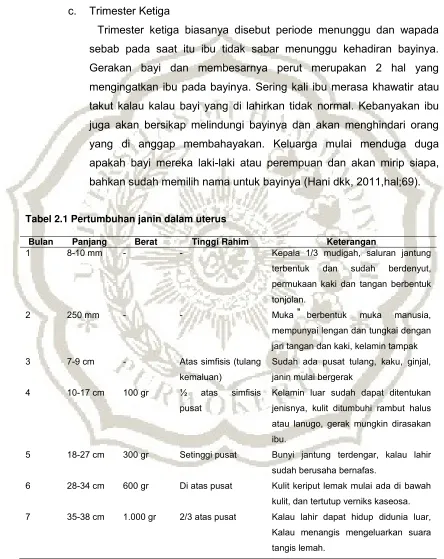Tabel 2.1 Pertumbuhan janin dalam uterus 