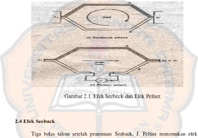 Gambar 2.1. Efek Seebeck dan Efek Peltier. 