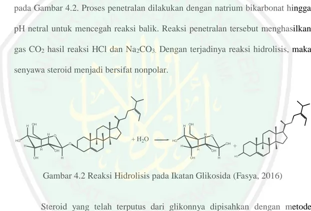 Gambar 4.2 Reaksi Hidrolisis pada Ikatan Glikosida (Fasya, 2016) 