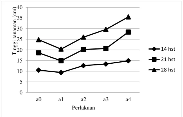 Gambar 2. Grafik hubungan takaran pemberian abu sekam padi terhadap rata-rata jumlah daun tanaman kacang tanah pada lahan rawa lebak 