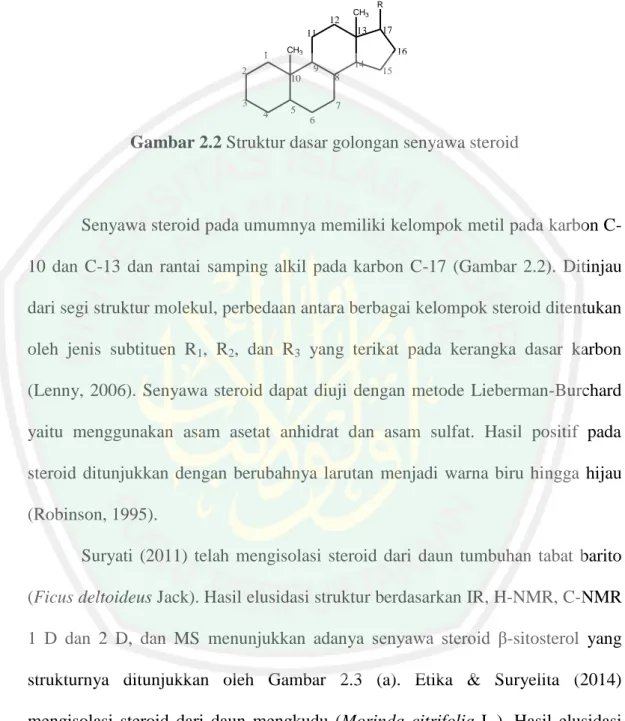 Gambar 2.2 Struktur dasar golongan senyawa steroid 
