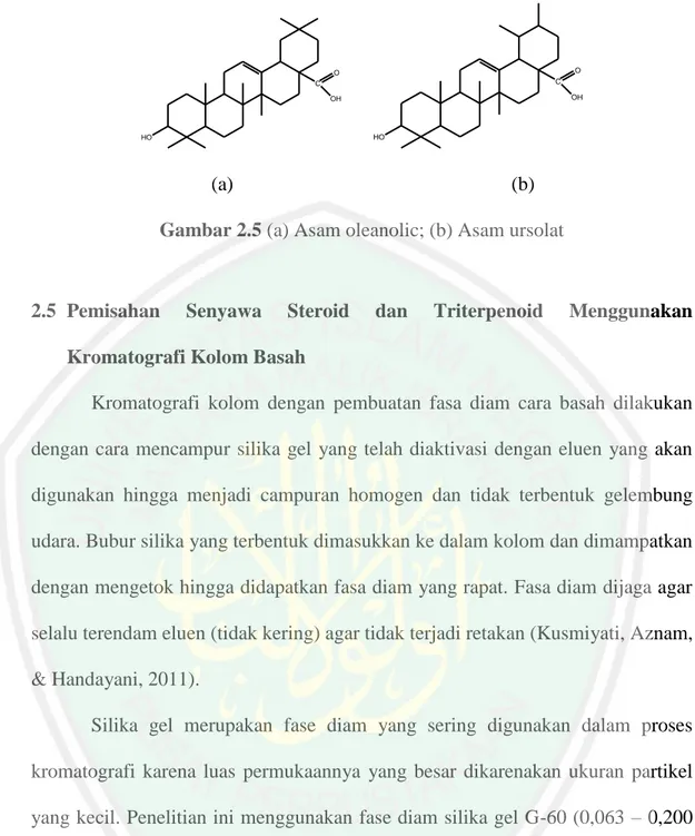 Gambar 2.5 (a) Asam oleanolic; (b) Asam ursolat 
