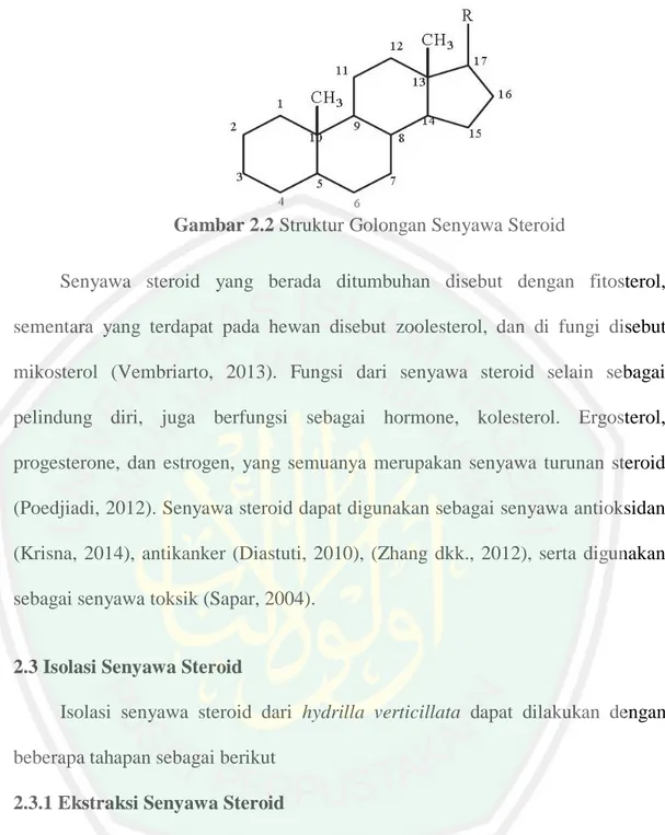 Gambar 2.2 Struktur Golongan Senyawa Steroid 