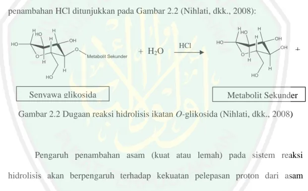 Gambar 2.2 Dugaan reaksi hidrolisis ikatan O-glikosida (Nihlati, dkk., 2008) 