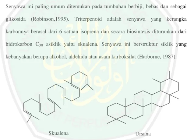 Gambar 2.5 Struktur senyawa triterpenoid (Robinson, 1995) 