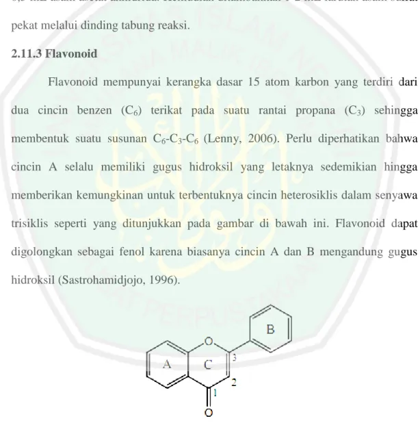 Gambar 2.7 Struktur dasar senyawa flavon (Sastrohamidjojo, 1996) 