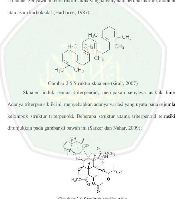 Gambar 2.4 Struktur isoprene (sirait, 2007) 