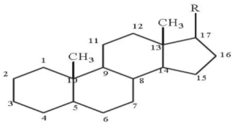 Gambar 2.7 Struktur senyawa steroid (Poedjiadi, 1994) 