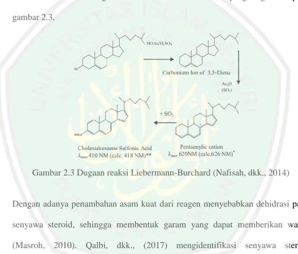 Gambar 2.3 Dugaan reaksi Liebermann-Burchard (Nafisah, dkk., 2014) 