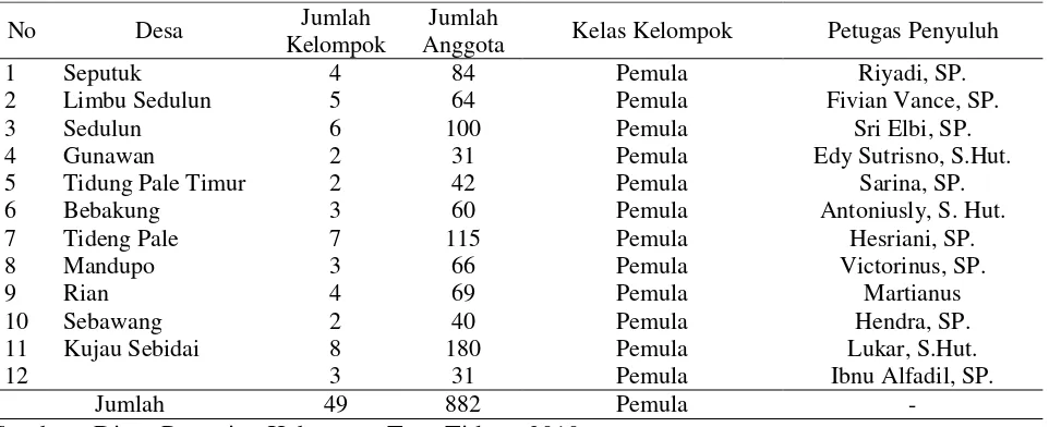 Tabel 4. Keadaan Kelompok Tani di Kecamatan Sesayap   Kabupaten Tana Tidung  Tahun 2010 