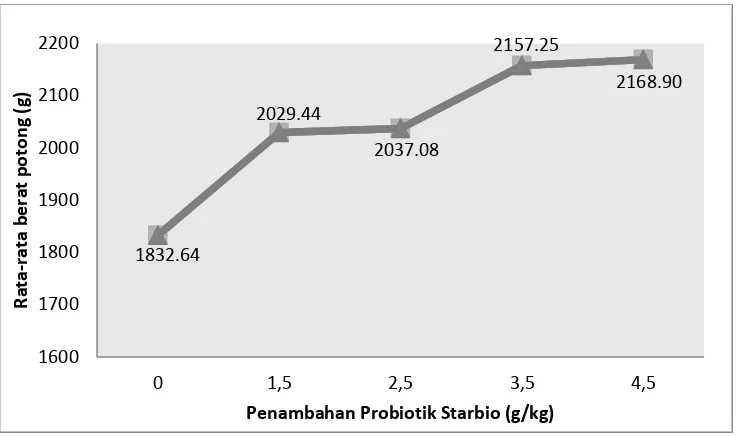Gambar 1: Pengaruh  penambahan probiotik  starbio dalam ransum komersial  terhadap  berat  potong (g/ekor)