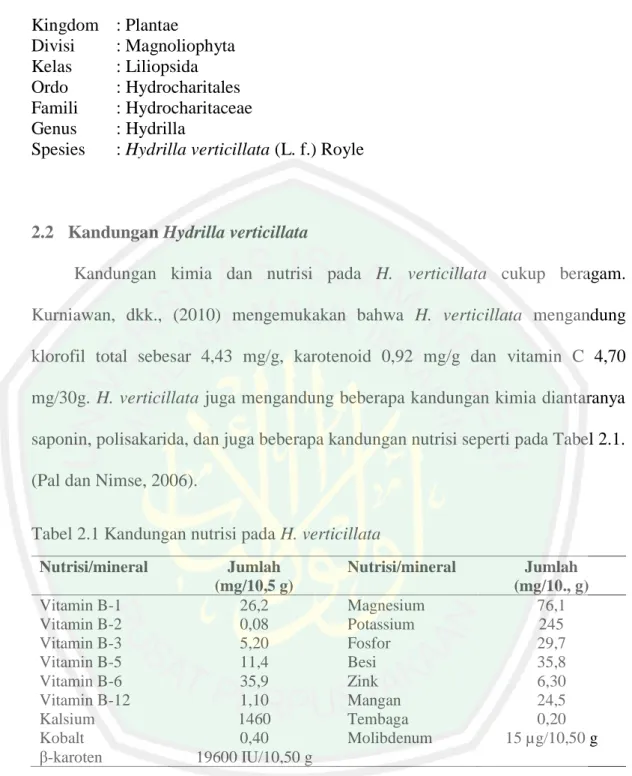 Tabel 2.1 Kandungan nutrisi pada H. verticillata  Nutrisi/mineral  Jumlah  (mg/10,5 g)  Nutrisi/mineral  Jumlah   (mg/10., g)  Vitamin B-1  26,2  Magnesium  76,1  Vitamin B-2  0,08  Potassium  245  Vitamin B-3  5,20  Fosfor  29,7  Vitamin B-5  11,4  Besi  