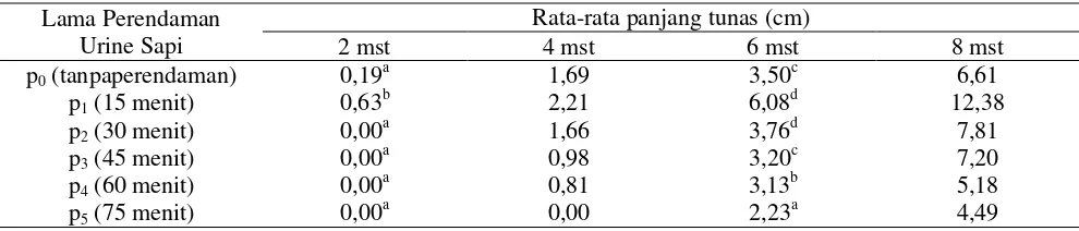 Tabel 2. Pengaruh lama perendaman urine sapi terhadap panjang tunas stek mawar pada umur 2, 4, 6               dan 8 mst 