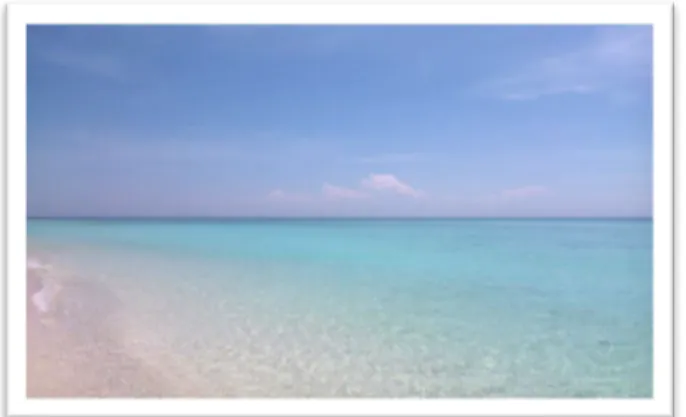 Gambar 1.1 : Kondisi Pantai di Pulau Gili Labak  (Sumber : indraprawinegara.com) 