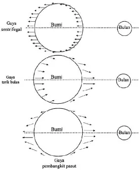 Gambar 2.5 Mekanisme Pembentukan Pasut (Azis, 2006)