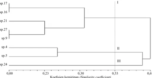 Gambar 3.   Dendrogram delapan isolat Pleurotus spp. berdasarkan amplifikasi primer RAPD  OPO11 (Dendrogram of eight Pleurotus spp
