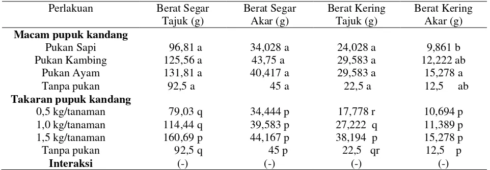 Tabel 4. Pengaruh macam dan takaran pupuk kandang terhadap berat segar dan berat kering tanaman 16 minggu setelah tanam 