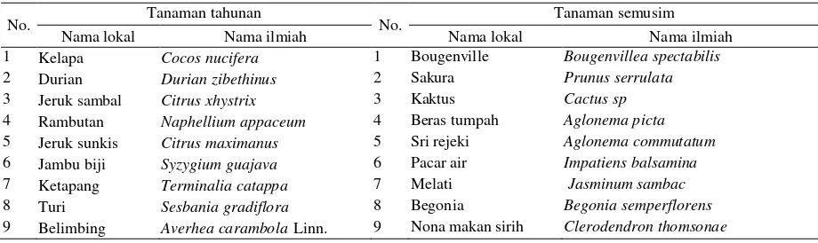 Tabel 2. Keragaman jenis tanaman tahunan dan hias di pekarangan Etnis Jawa di  DAS Karang Mumus 