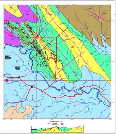 Gambar 4. Peta Geologi dan Distribusi Serpih Bitumen Daerah Padanglawas  