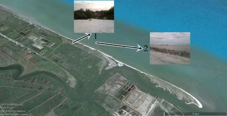 Gambar 8.  Kerusakan Ekologis di stasiun 1 Desa Bagan Kuala (Sumber Google                     Earth 2014) 