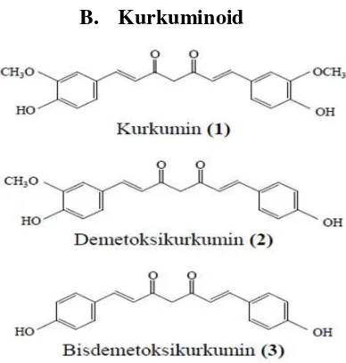Gambar 1. Struktur Kurkuminoid (Kristina, Noveriza, Syahid, dan Rizal, 2006). 