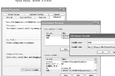 Figure 4-1. Setting the Windows system variables