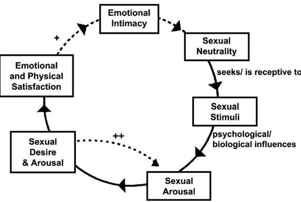 Gambar 2. Siklus Respon Seksual menurut Basson21 