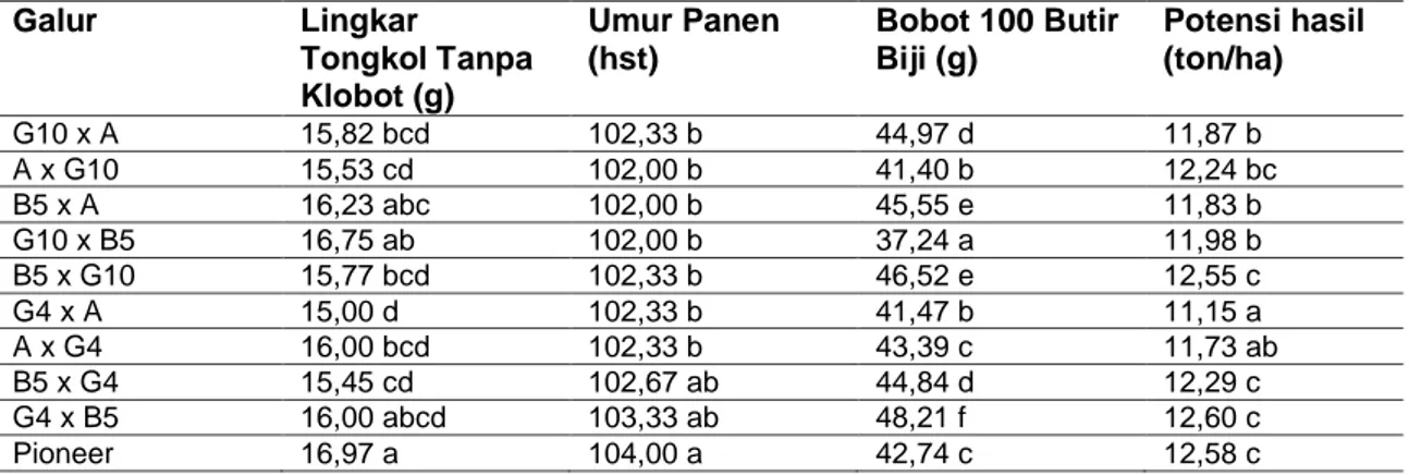 Tabel 3 Rata-rata Komponen Hasil Lingkar Tongkol Tanpa Klobot, Umur Panen, Bobot 100 Butir   Biji dan Potensi Hasil 