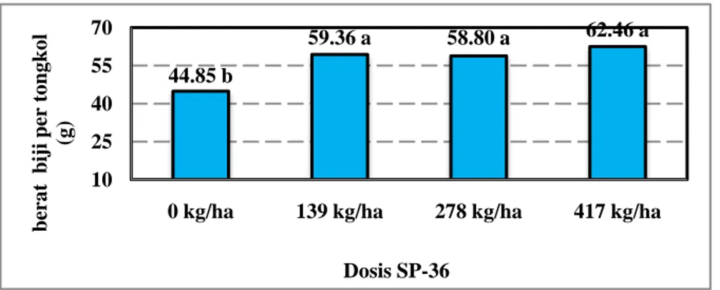 Gambar 7. Interaksi dosis pupuk fosfat dan kapur kalsit pada parameter  P tersedia tanah (angka pada histogram yang diikuti huruf kecil yang  sama menunjukkan berbeda tidak nyata pada uji DMRT 5%)