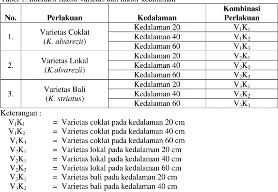 Tabel 1. Interaksi faktor varietas dan faktor kedalaman   