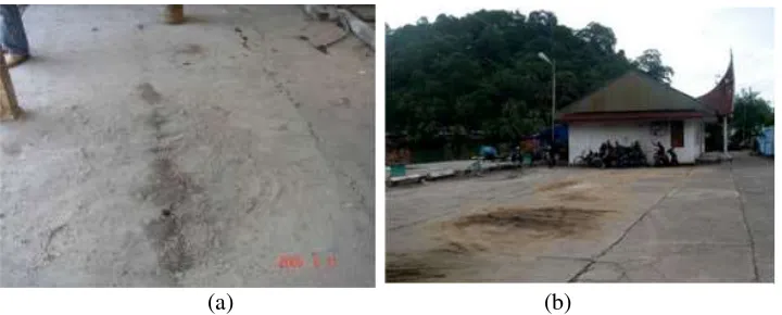 Figure 1. (a). Silty sand liquefaction at UMY campus during the 2006 Yogyakarta earthquake