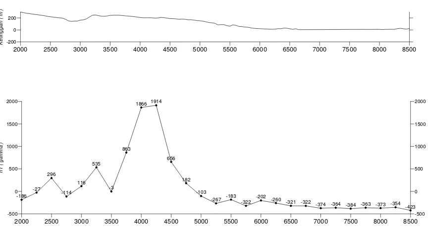 Gambar 4. Profil harga anomali geomagnet lintasan C daerah penyelidikan. 