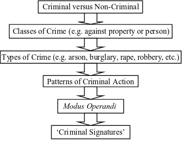 Figure 2.4.6A hierarchy for the differentiationof offenders