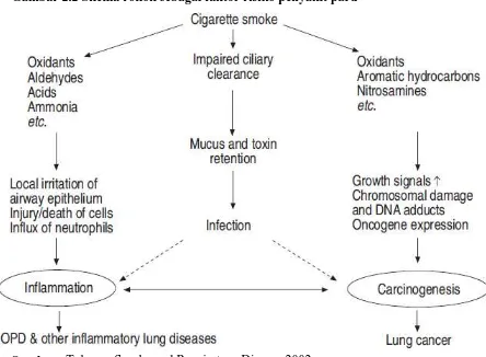 Gambar 2.2 Skema rokok sebagai faktor risiko penyakit paru 