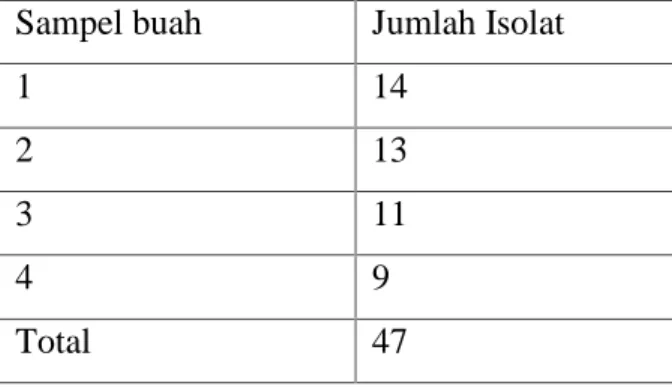 Tabel 1. Jumlah isolat cendawan endofit yang berhasil diisolasi dari  buah kakao Sampel buah Jumlah Isolat