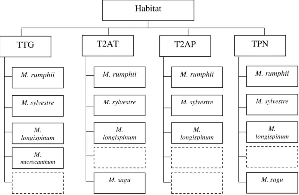 Gambar 2. Diagram ringkasan adaptasi tanaman sagu pada berbagai tipe habitat