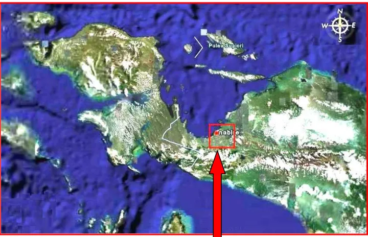 Gambar 1.   Peta Lokasi Kegiatan di daerah Nabire, Provinsi Papua 