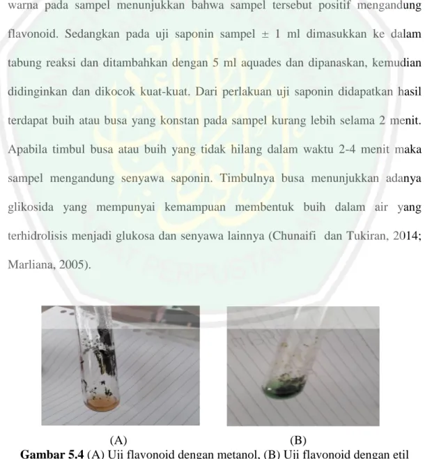 Gambar 5.4 (A) Uji flavonoid dengan metanol, (B) Uji flavonoid dengan etil  asetat 