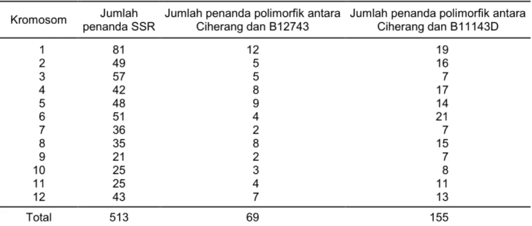 Tabel 4.   Polimorfisme penanda SSR antara Ciherang dan dua galur PTB. 