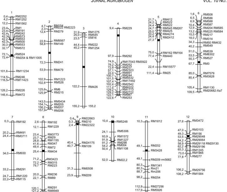 Gambar 1.   Peta  sebaran  penanda  SSR  polimorfik  antara  Ciherang  dan  B11143D  pada  12  kromosom  padi  berdasarkan  posisi  rekombinan  penanda SSR pada Nipponbare/Kasalath (International Rice Genome Sequencing Project, 2008)