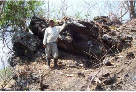 Gambar 3.  Peta Geologi, Ubahan dan Mineralisasi daerah Olat Maja,Kecamatan Lape dan 