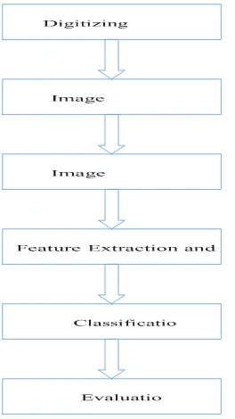 Gambar 1  CAD mass classification.   
