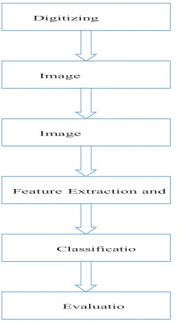 Gambar 1  CAD mass classification.   