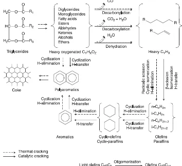 Gambar 2.2 Mekanisme Umum Proses Catalytic Cracking Trigliserida [34]  