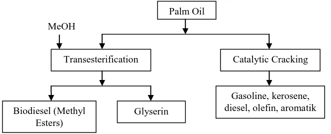 Gambar 2.3 Konversi Minyak Sawit menjadi Biofuels [16] 