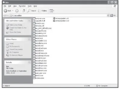 Figure 2-3 The contents of the bin directory Figure 2-4 A blank window?!