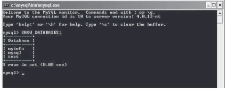 Figure 2-10 The myinfo database is now visible in the console after using the SHOW DATABASES command.