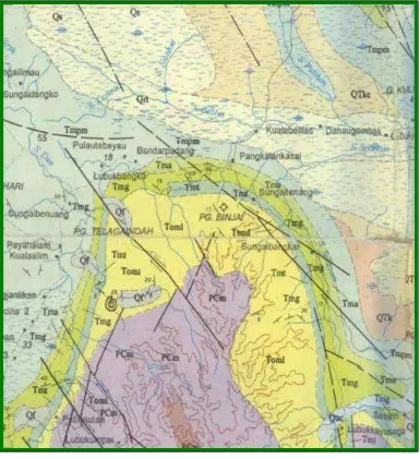 Gambar 2. Peta Geologi Daerah Penyelidikan 