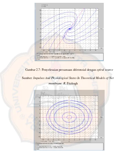 Gambar 2.7: Penyelesaian persamaan diferensial dengan spiral source 