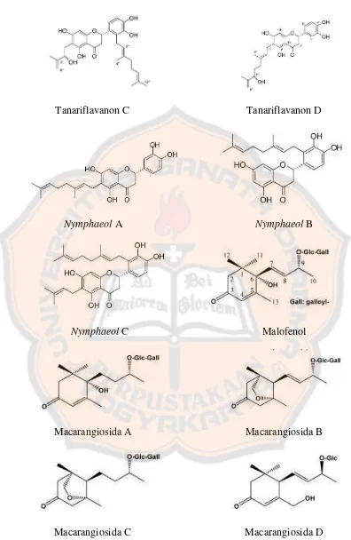 Gambar 5. Struktur kandungan senyawa daun M. tanarius (Phommart, et al., 2005 ; Matsunami, et al., 2006) 